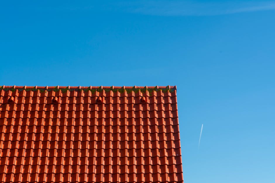 How Often Should You Inspect Your Roof