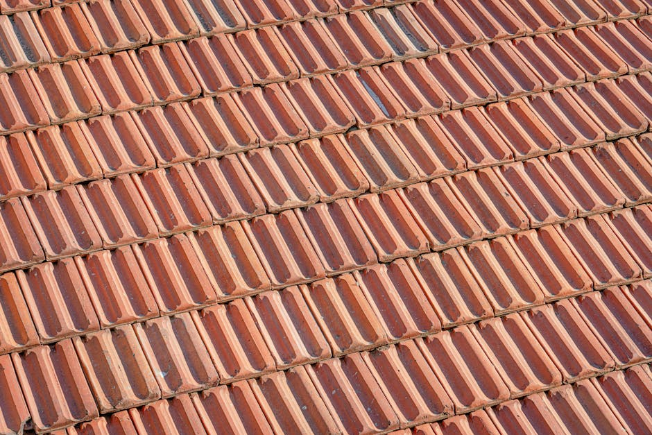 Signs Your Roof Needs Repair