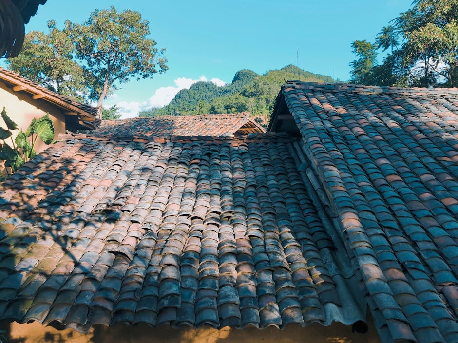 Spot a Roof Leak Early
